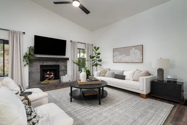 a living room with furniture a flat screen tv and a fireplace