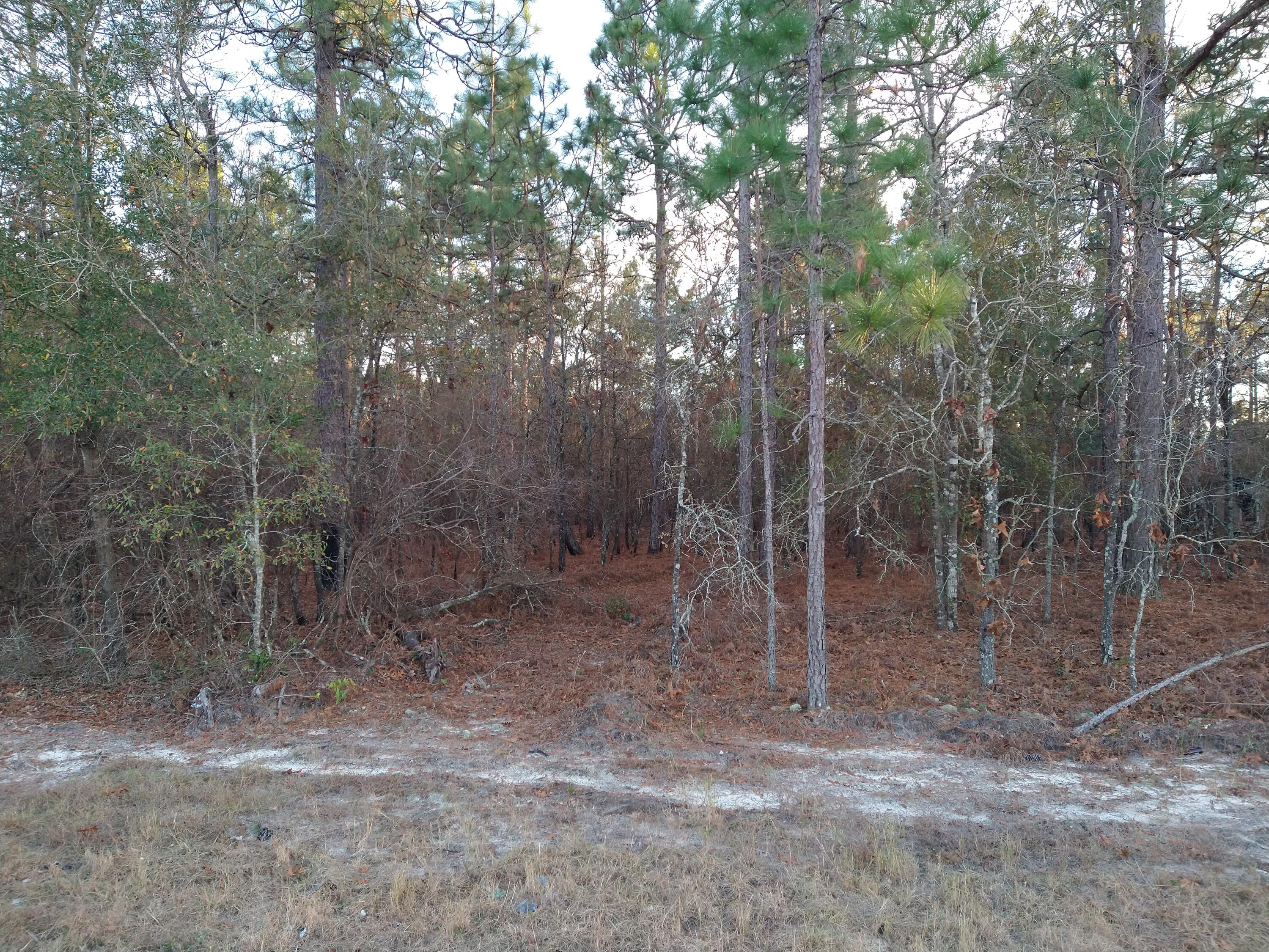 Lot 7 Hancock Landing Road Waynesboro, GA 30830 - Photo 1 of 1 IMG_20231221_164526136