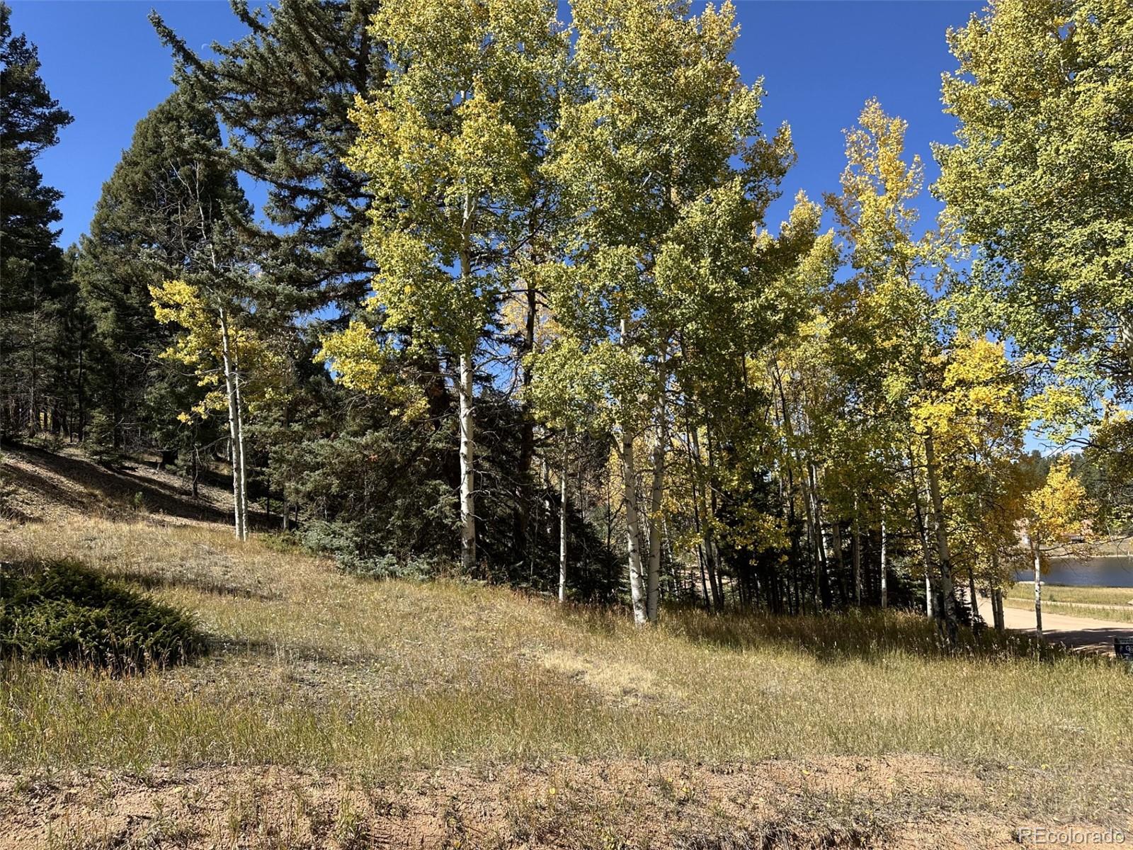 244 Spring Valley Lane Florissant, CO 80816 - Photo 1 of 17 a view of a lake with houses