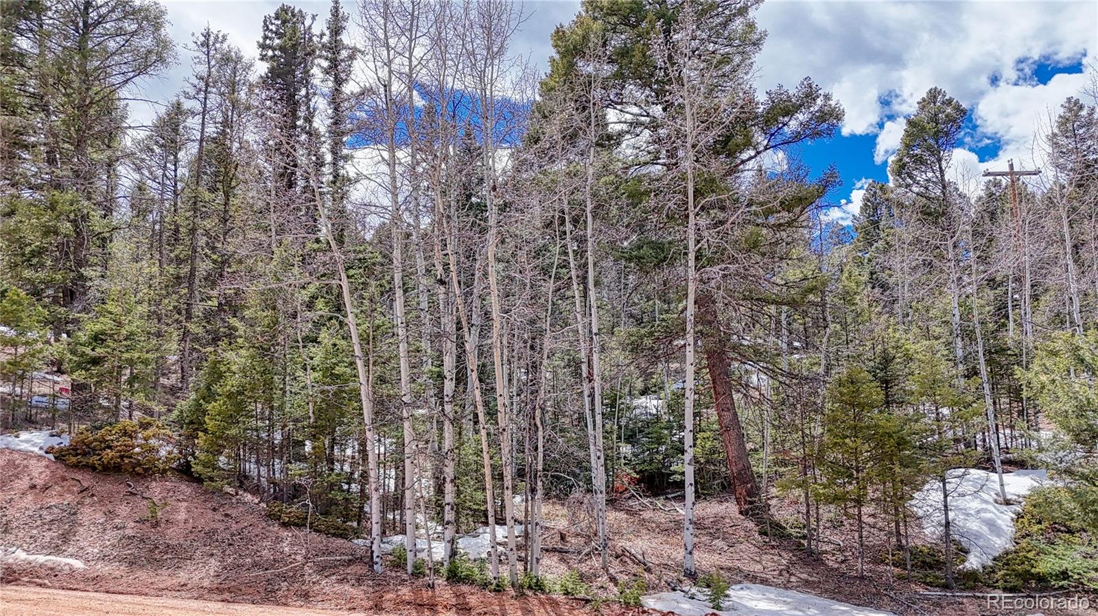 244 Spring Valley Lane Florissant, CO 80816 - Photo 12 of 17 a view of a house with a street and trees