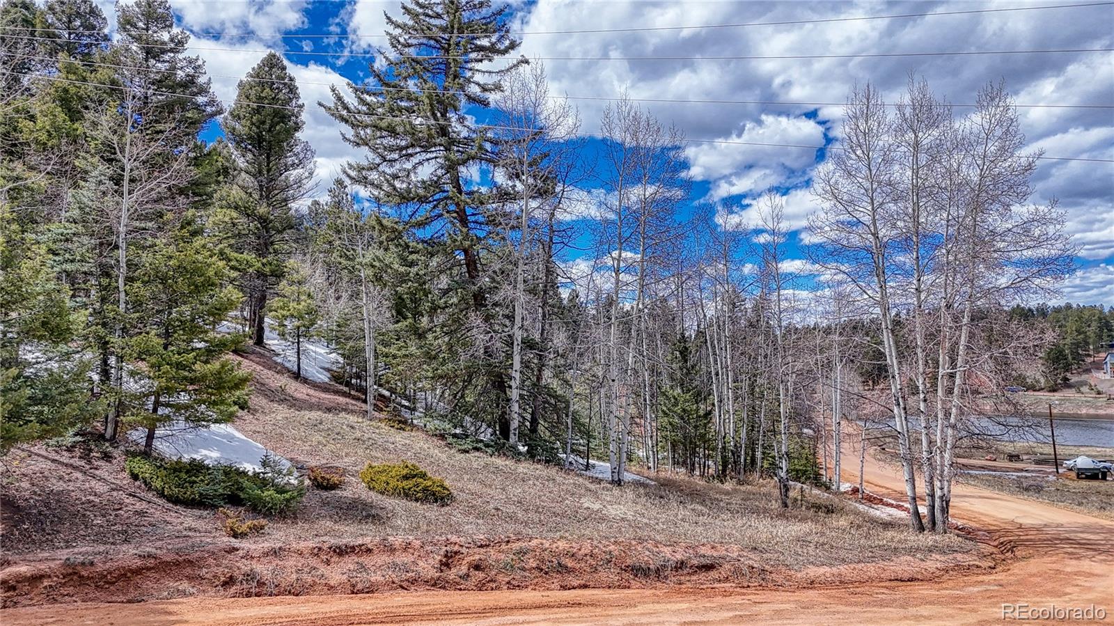 244 Spring Valley Lane Florissant, CO 80816 - Photo 3 of 17 a view of a yard