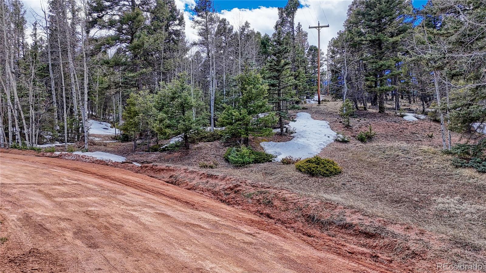 244 Spring Valley Lane Florissant, CO 80816 - Photo 4 of 17 a view of a park with large trees