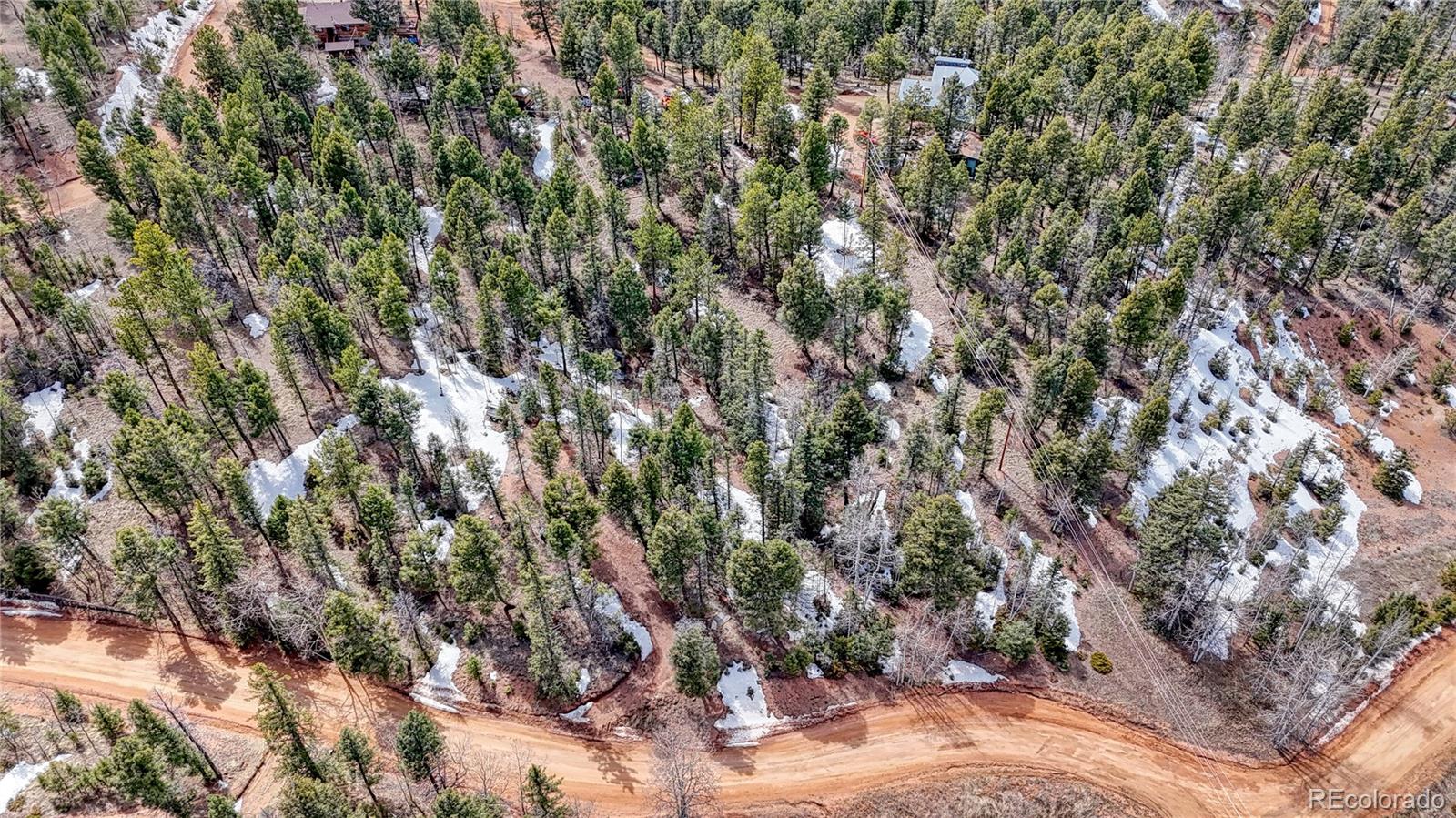 244 Spring Valley Lane Florissant, CO 80816 - Photo 6 of 17 a view of a tree
