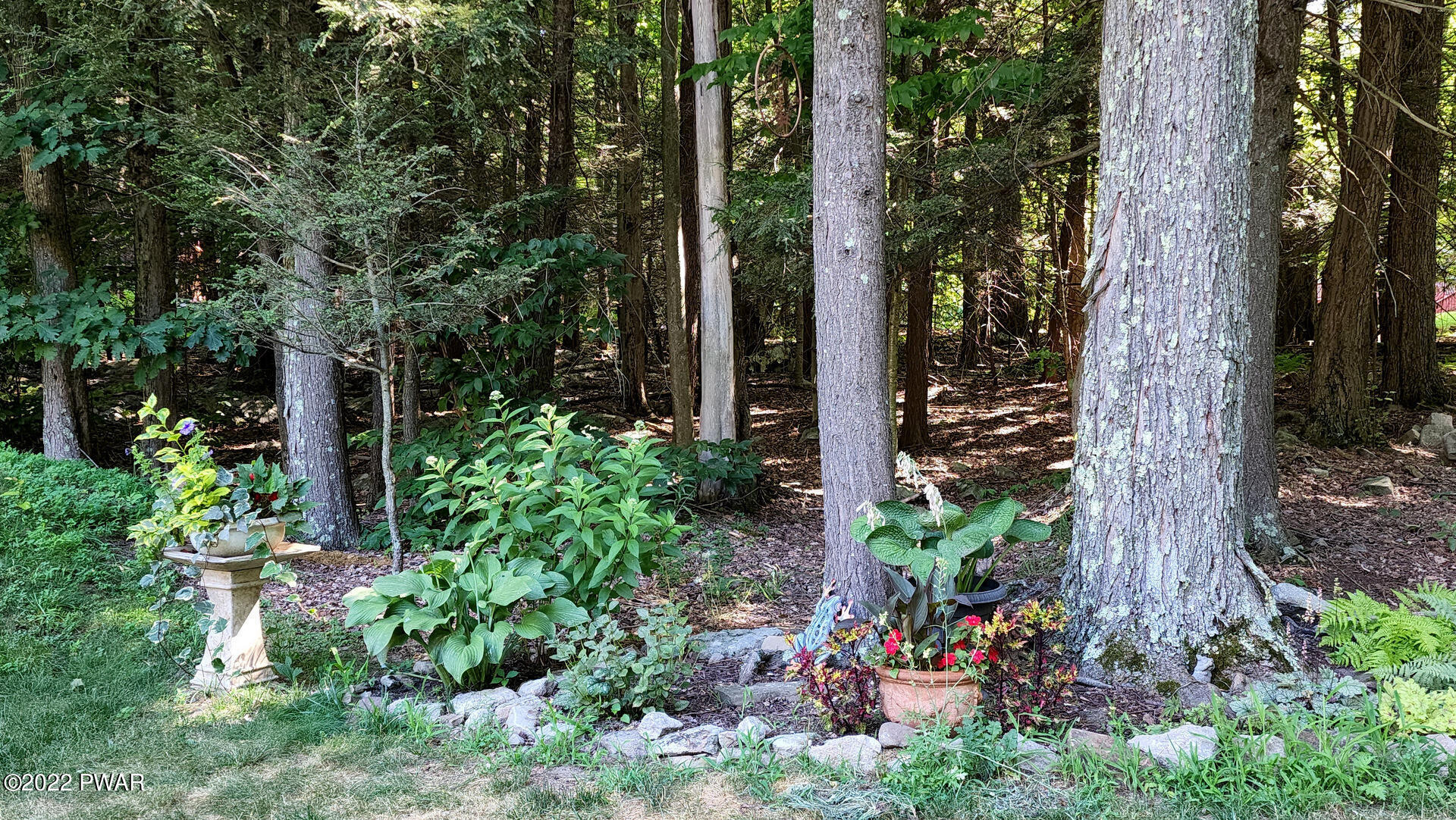 159 Nevin Road Newfoundland, PA 18445 - Photo 52 of 62 20220724_100509
