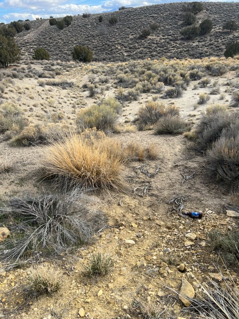 N/a Grant Avenue Spring Creek, NV 89815 - Photo 7 of 10