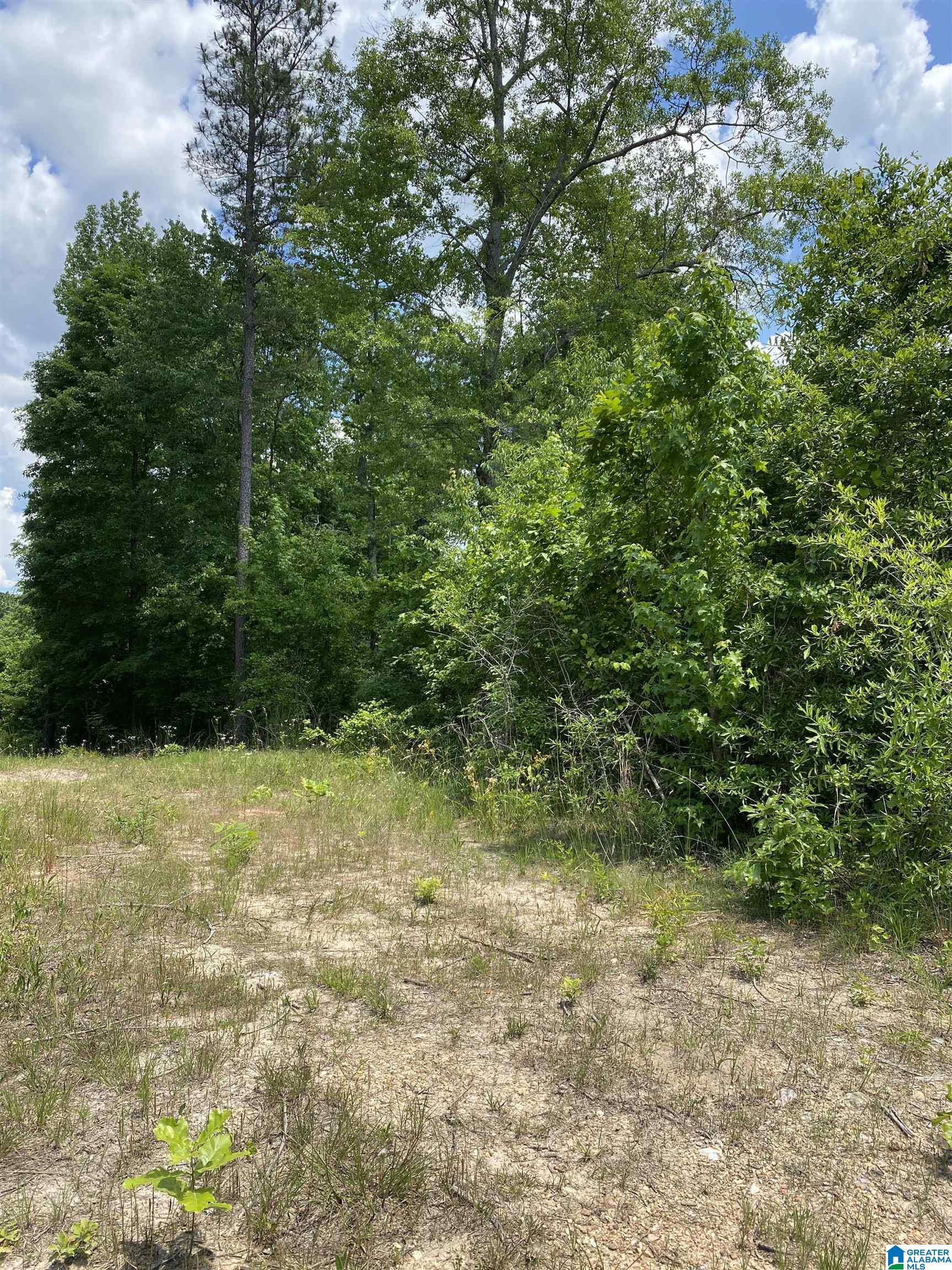 5942 Stemley Road, Unit 1 Talladega, AL 35160 - Photo 2 of 14