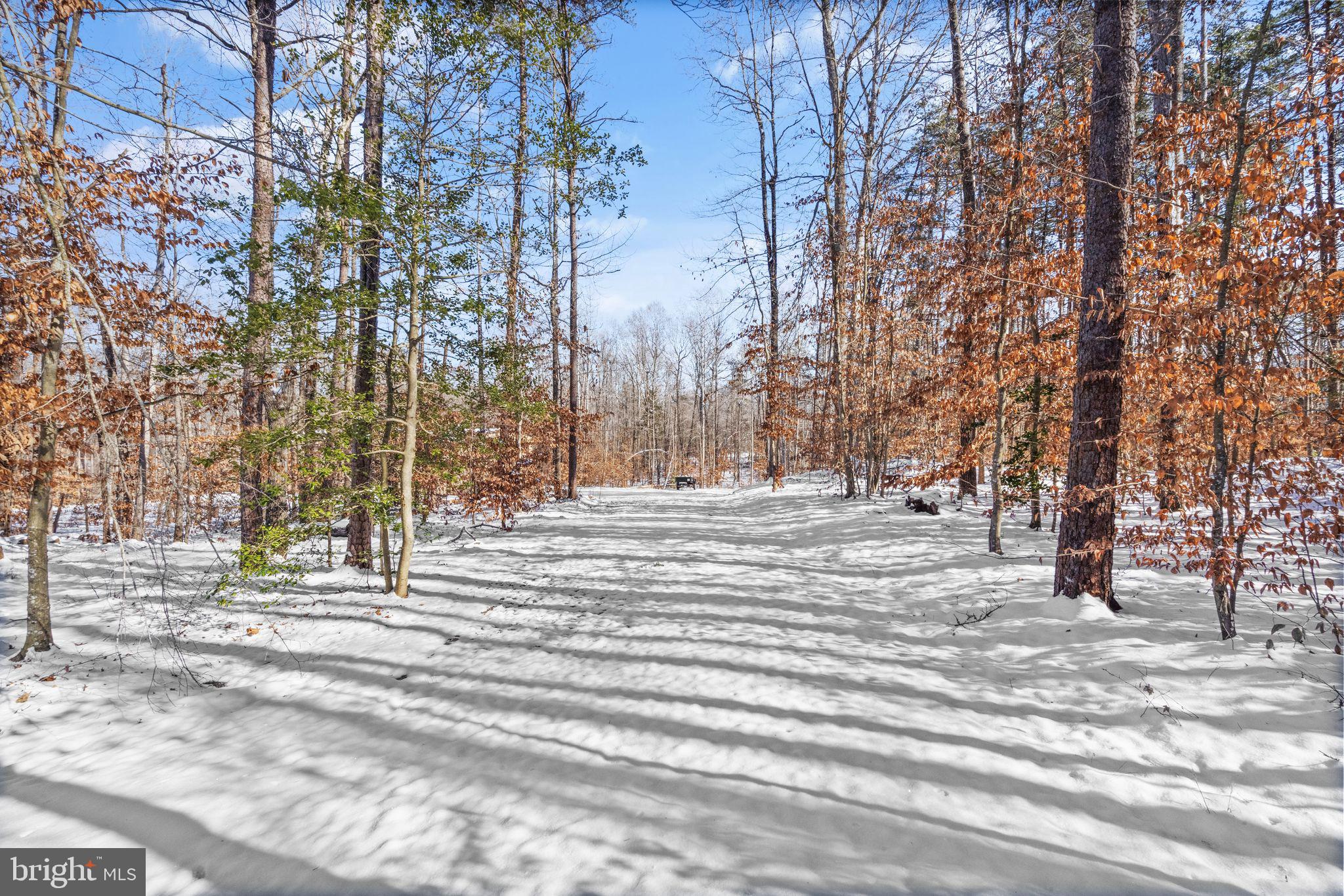13173 Deep Run Mill Road Goldvein, VA 22720 - Photo 76 of 90 Gallery Image 76