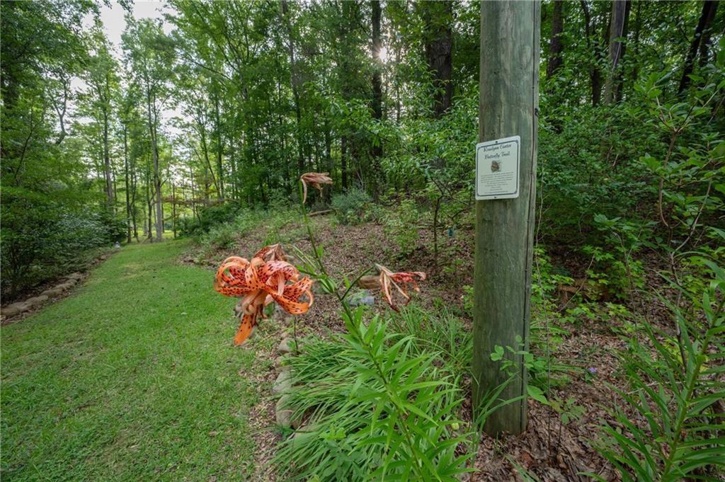 285 Dollar Road Hamilton, GA 31811 - Photo 8 of 65 Gallery Image 8