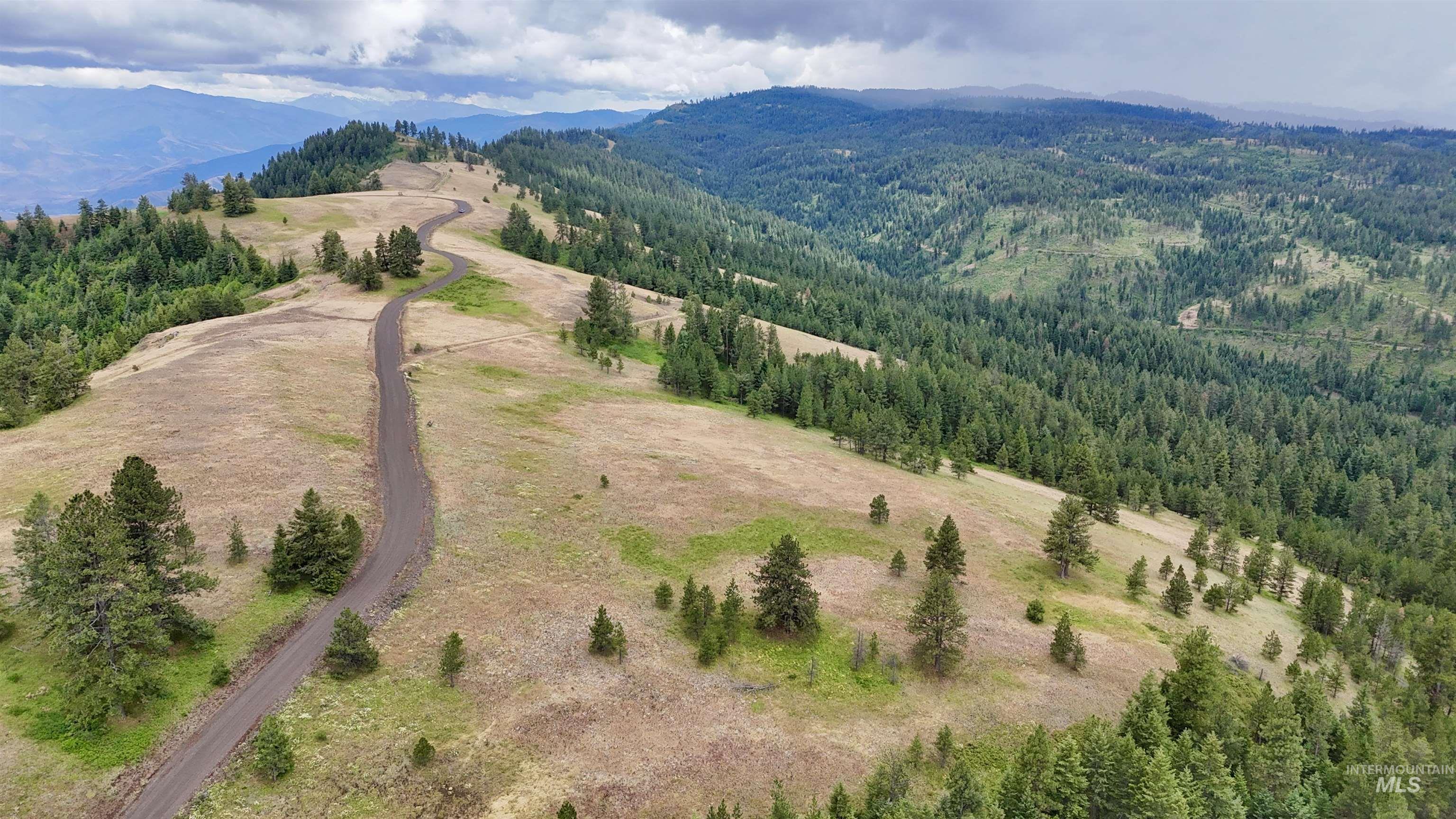 Lot 91 Pilgrim Ridge Road White Bird, ID 83554 - Photo 14 of 35