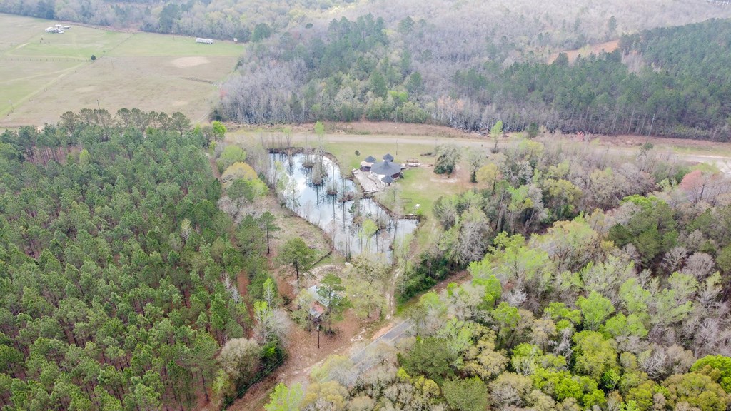 2430 Chase Road Samson, AL 36477 - Photo 30 of 46
