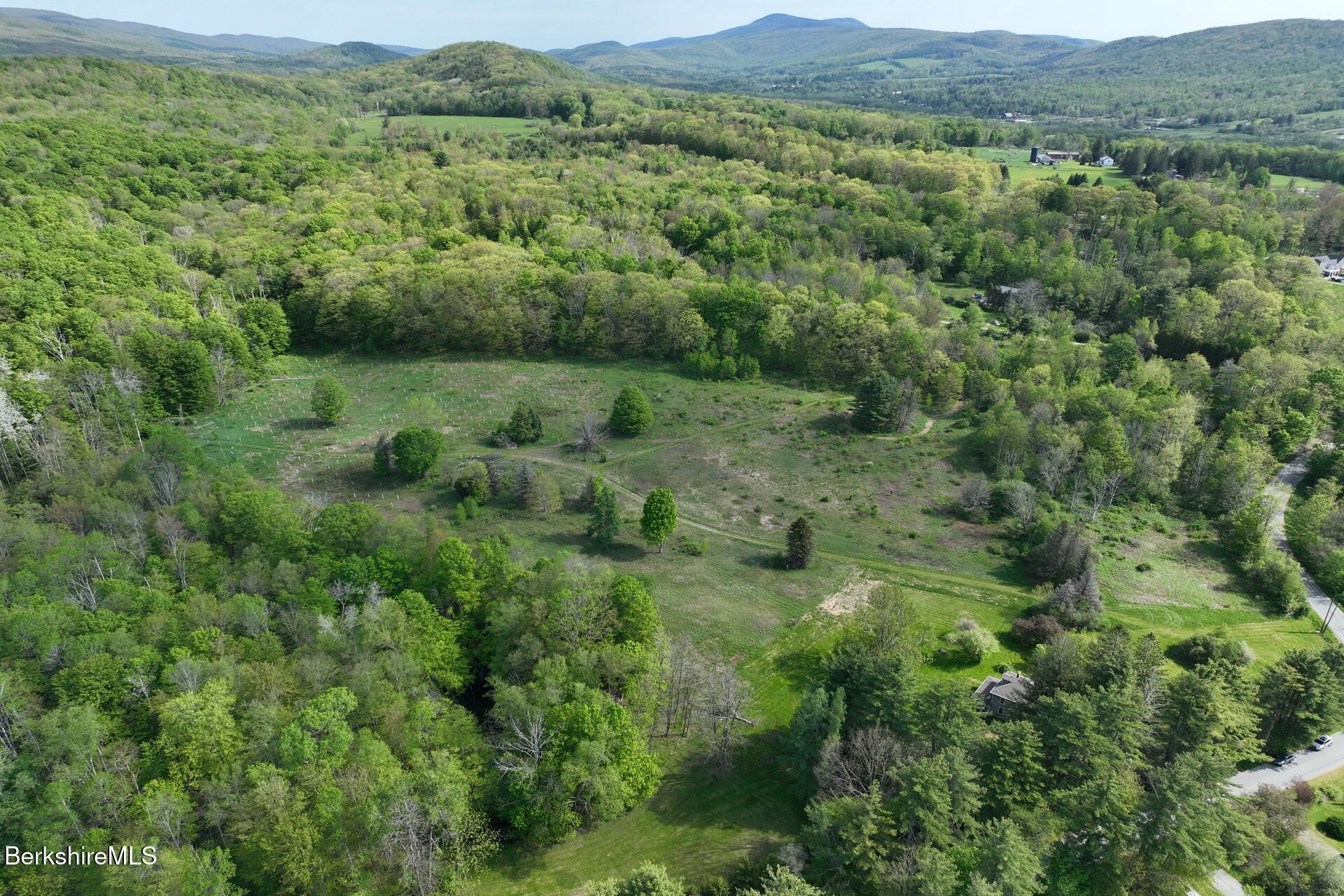 80 Miner Road Lanesborough, MA 01237 - Photo 10 of 10 a view of a lush green forest with lush green forest