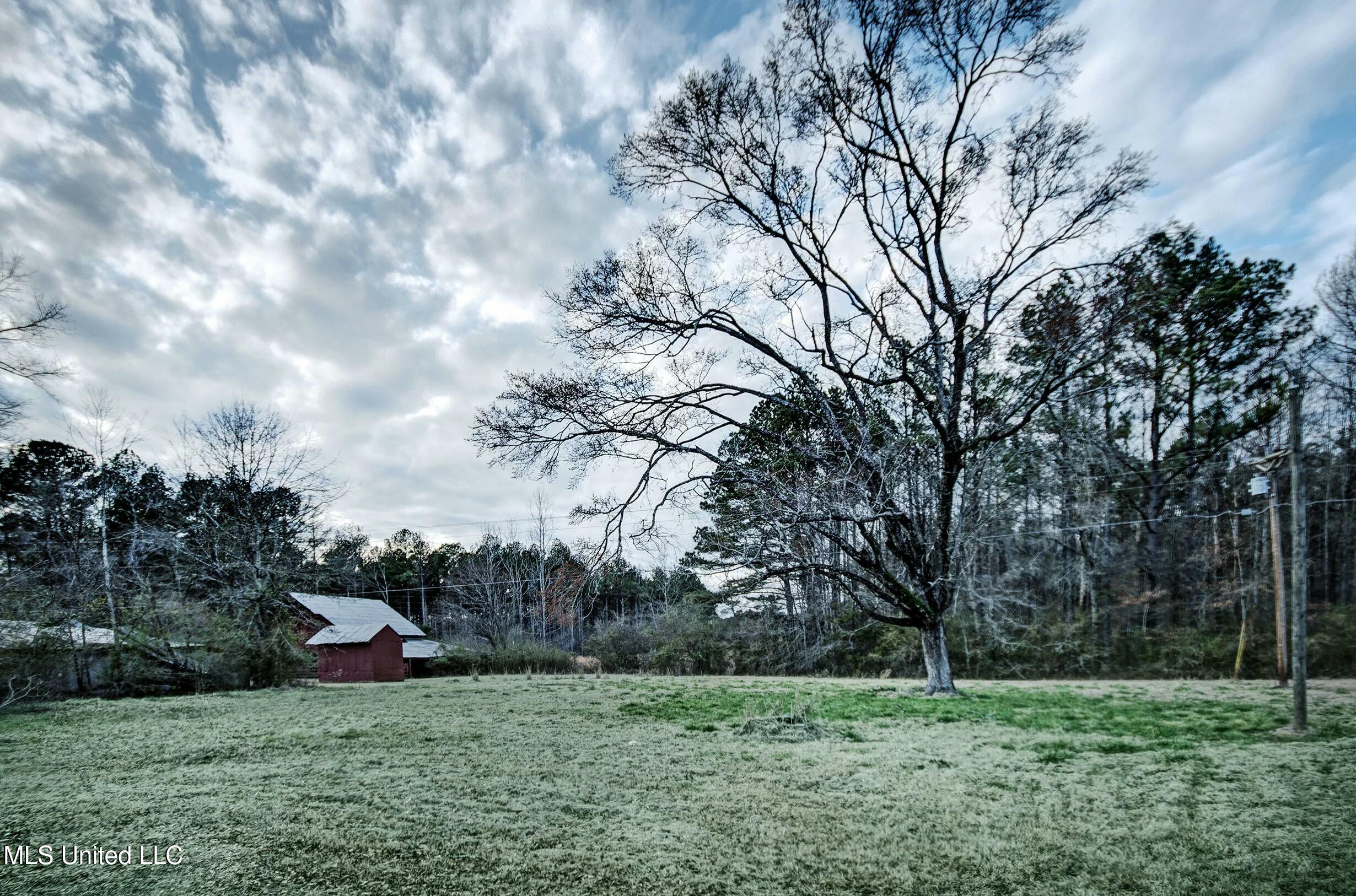 2994 Star Road Florence, MS 39073 - Photo 6 of 27 tempImageOIrROp