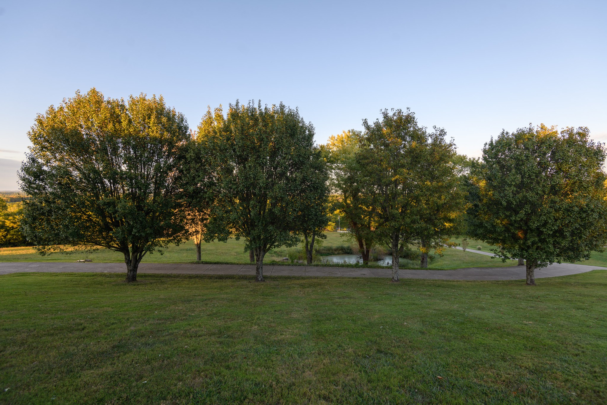 1534 Old Shannon Road Lebanon, TN 37090 - Photo 39 of 56 a view of yard with trees