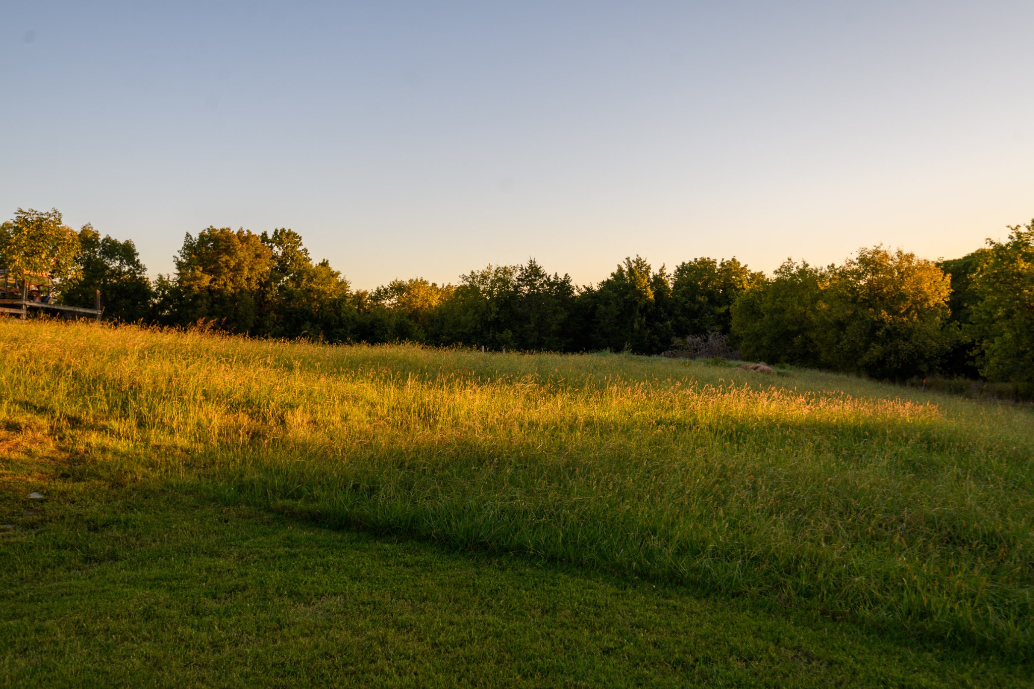 1534 Old Shannon Road Lebanon, TN 37090 - Photo 50 of 56 a view of a lake with a big yard