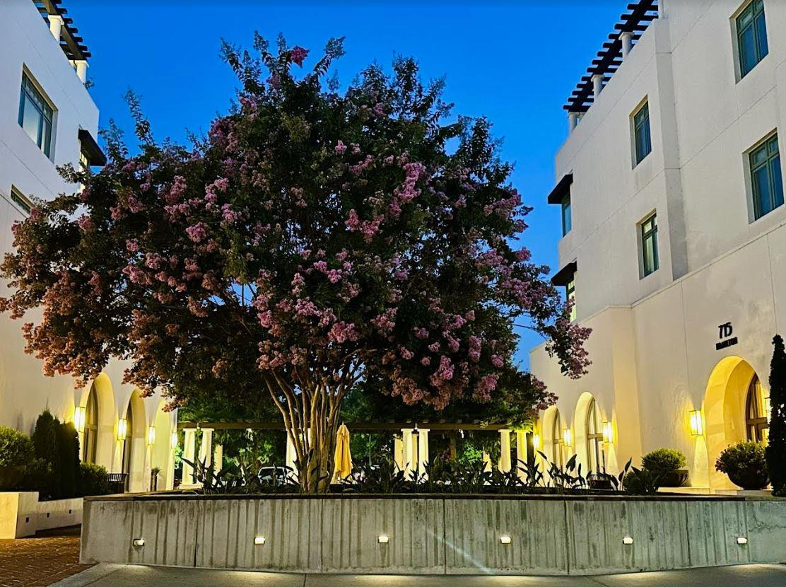 612 Allerton Loop Campbell, CA 95008 - Photo 35 of 38 a view of a lake with a trees in the background