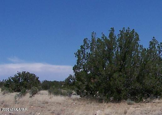 13 T14n R16e:e2 Nw4 Se4 Heber, AZ 85928 - Photo 1 of 3 1