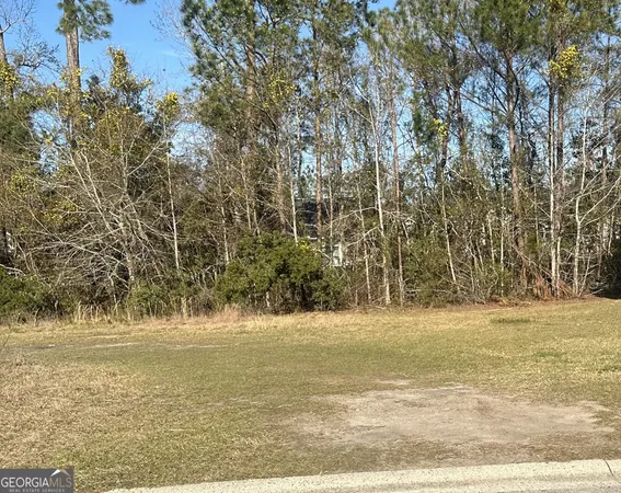 a view of beach with large trees