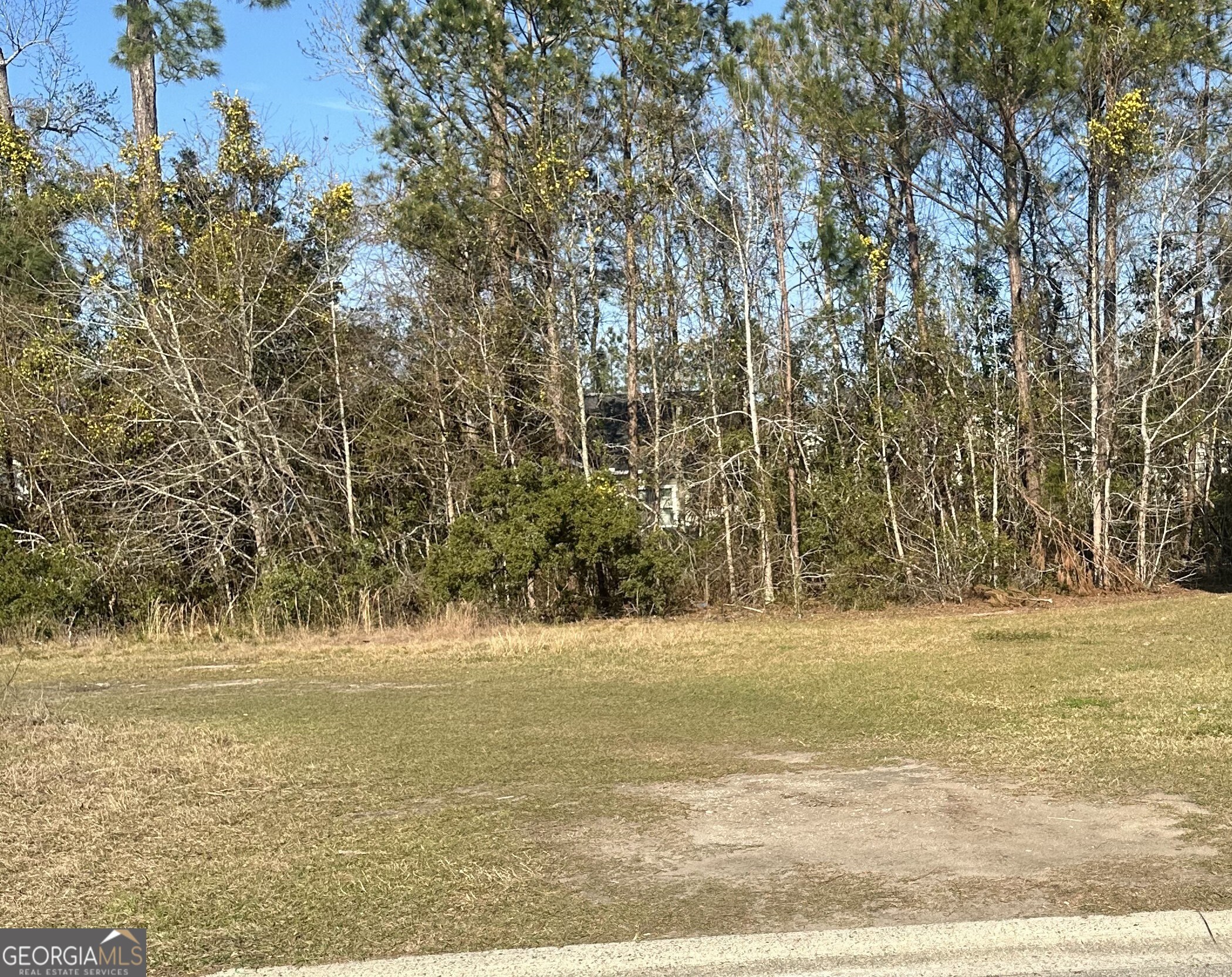 a view of beach with large trees