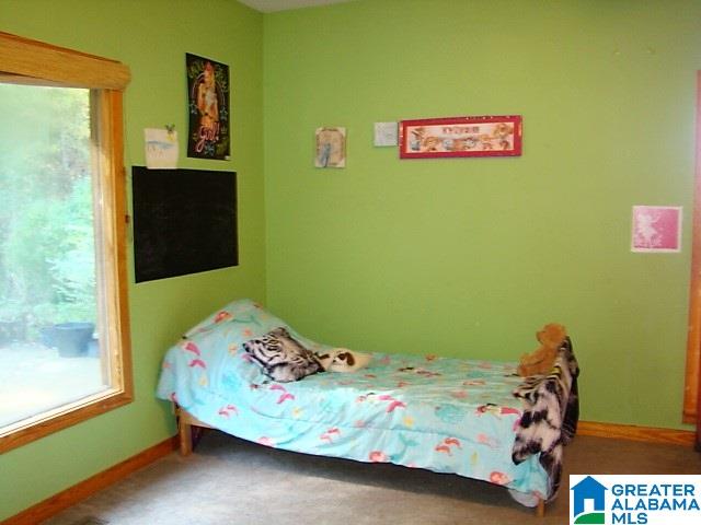889 Hunter Road Ohatchee, AL 36271 - Photo 20 of 44