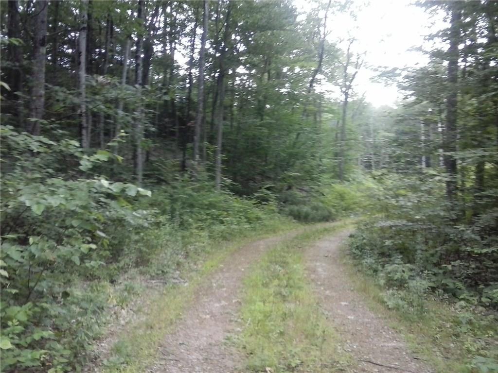0 Simon Ricker Road Shapleigh, ME 04076 - Photo 4 of 15 Photo