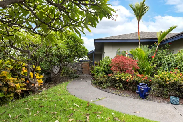 a view of a backyard with plants