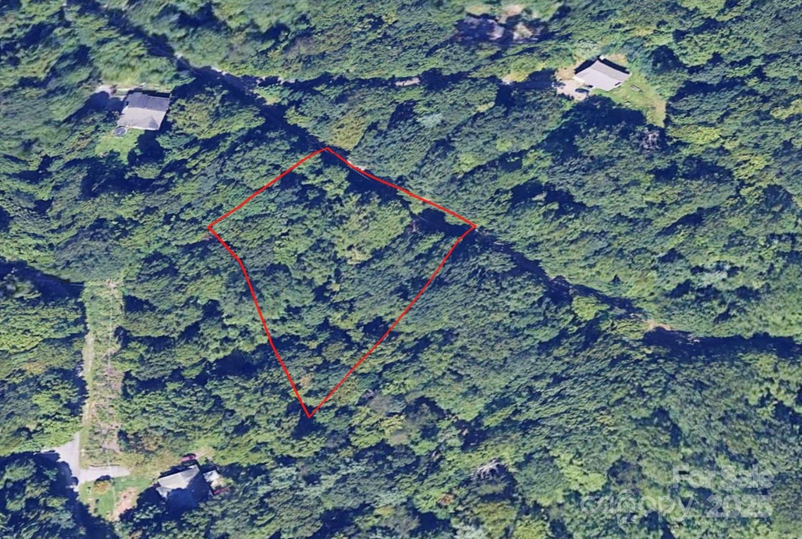 1 Green Ridge Falls Road Barnardsville, NC 28709 - Photo 2 of 4