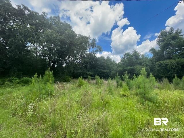 825 William Avenue Axis, AL 36505 - Photo 2 of 5