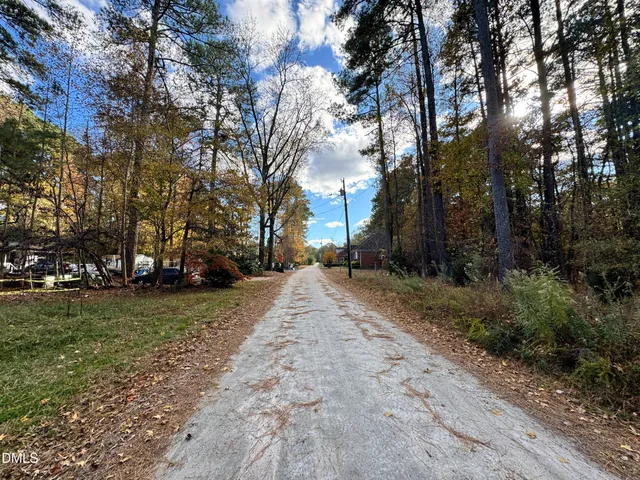 a view of a yard with plants and trees