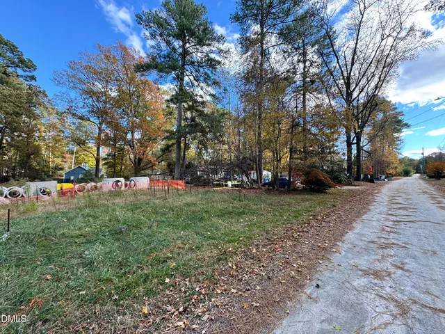 a view of road with tall trees