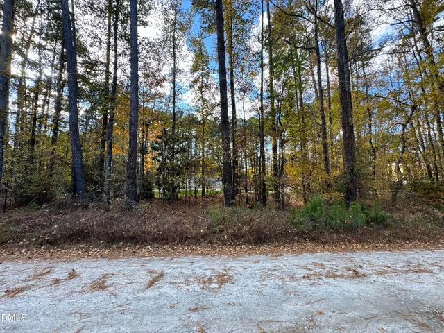a view of a yard with trees