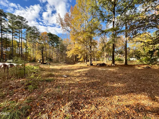 a view of road with large trees
