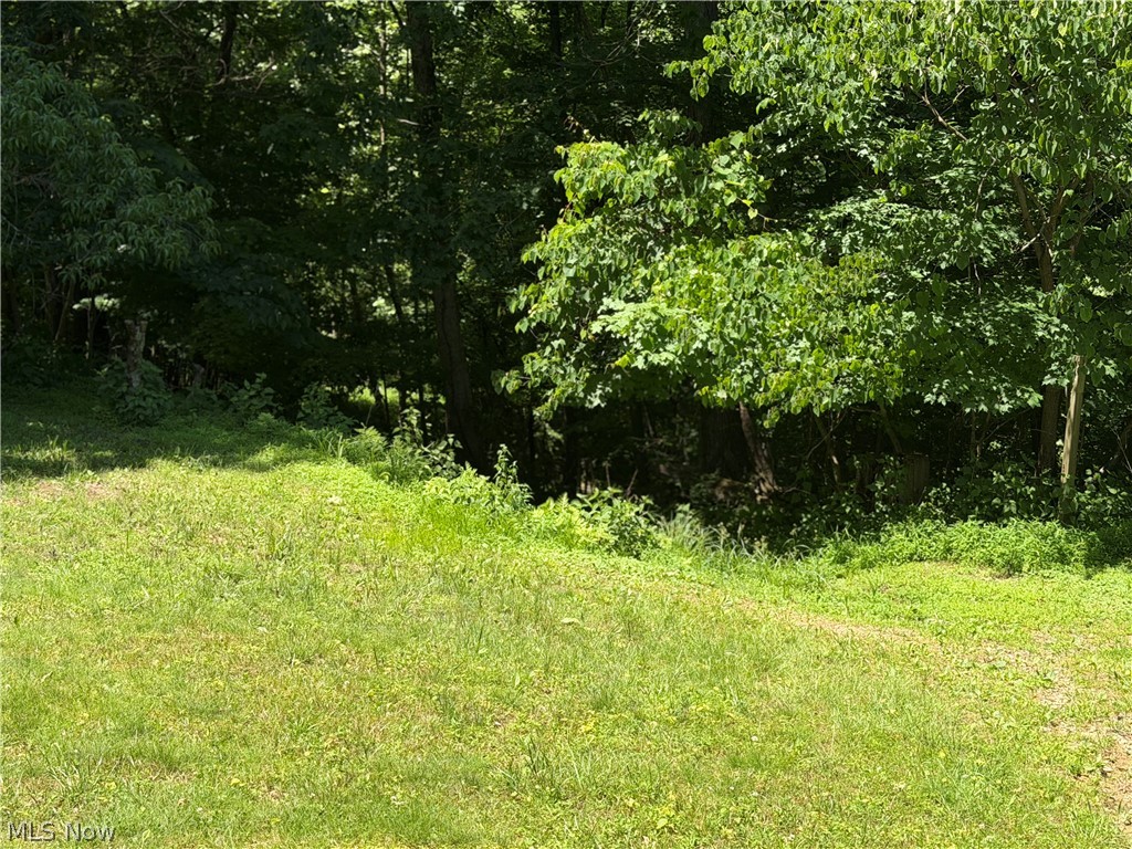 345 Tower Flat Top, WV 25841 - Photo 5 of 18