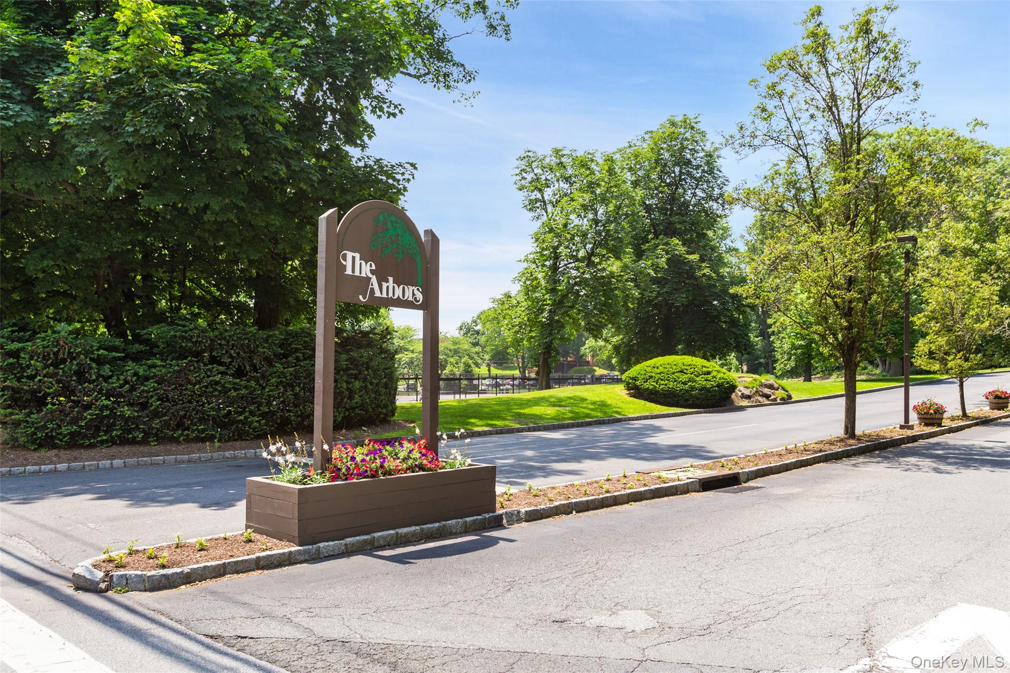 245 Tree Top Crescent Rye Brook, NY 10573 - Photo 24 of 24 a view of a park with large trees