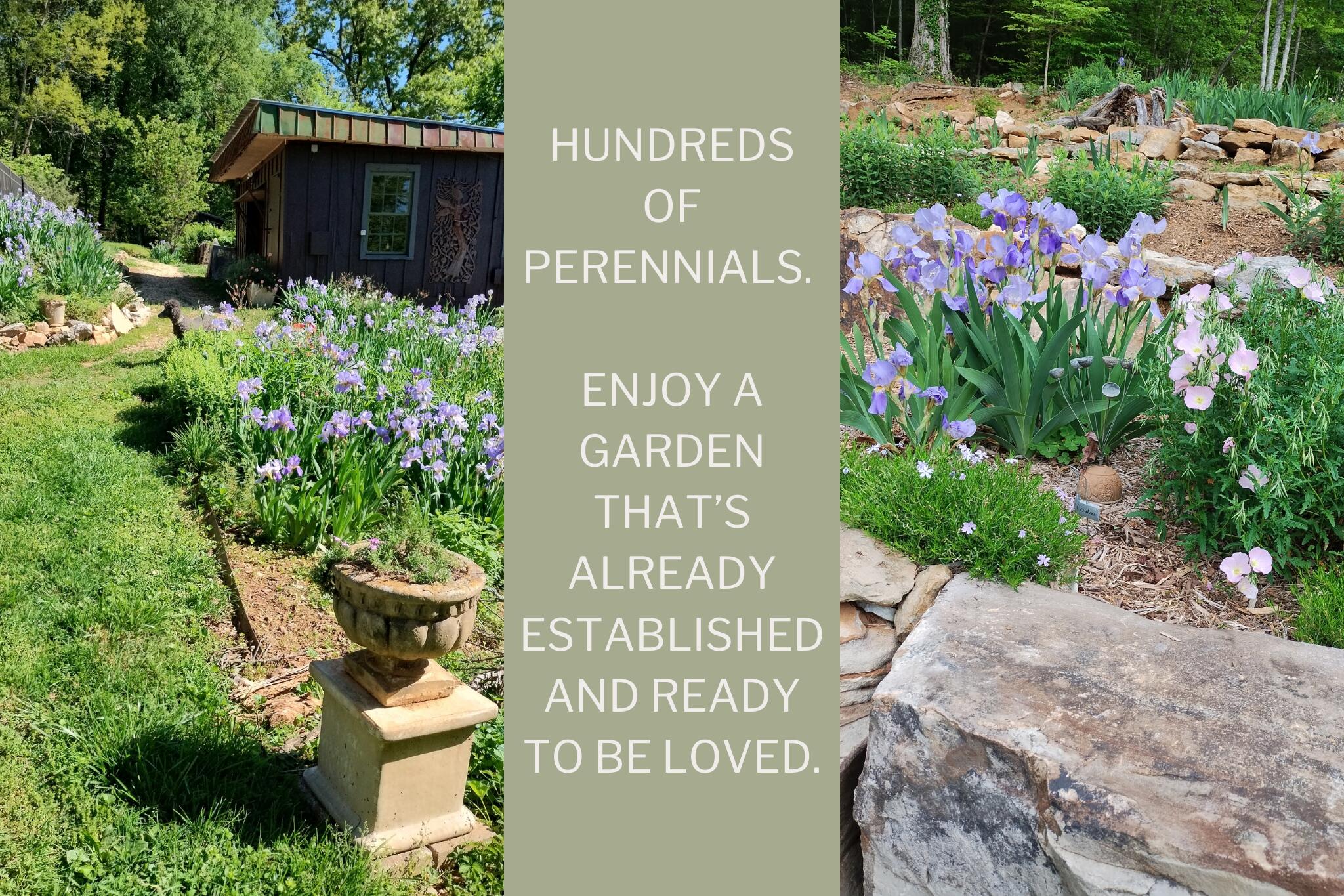 22 Carmack Road Flintstone, GA 30725 - Photo 33 of 40 38