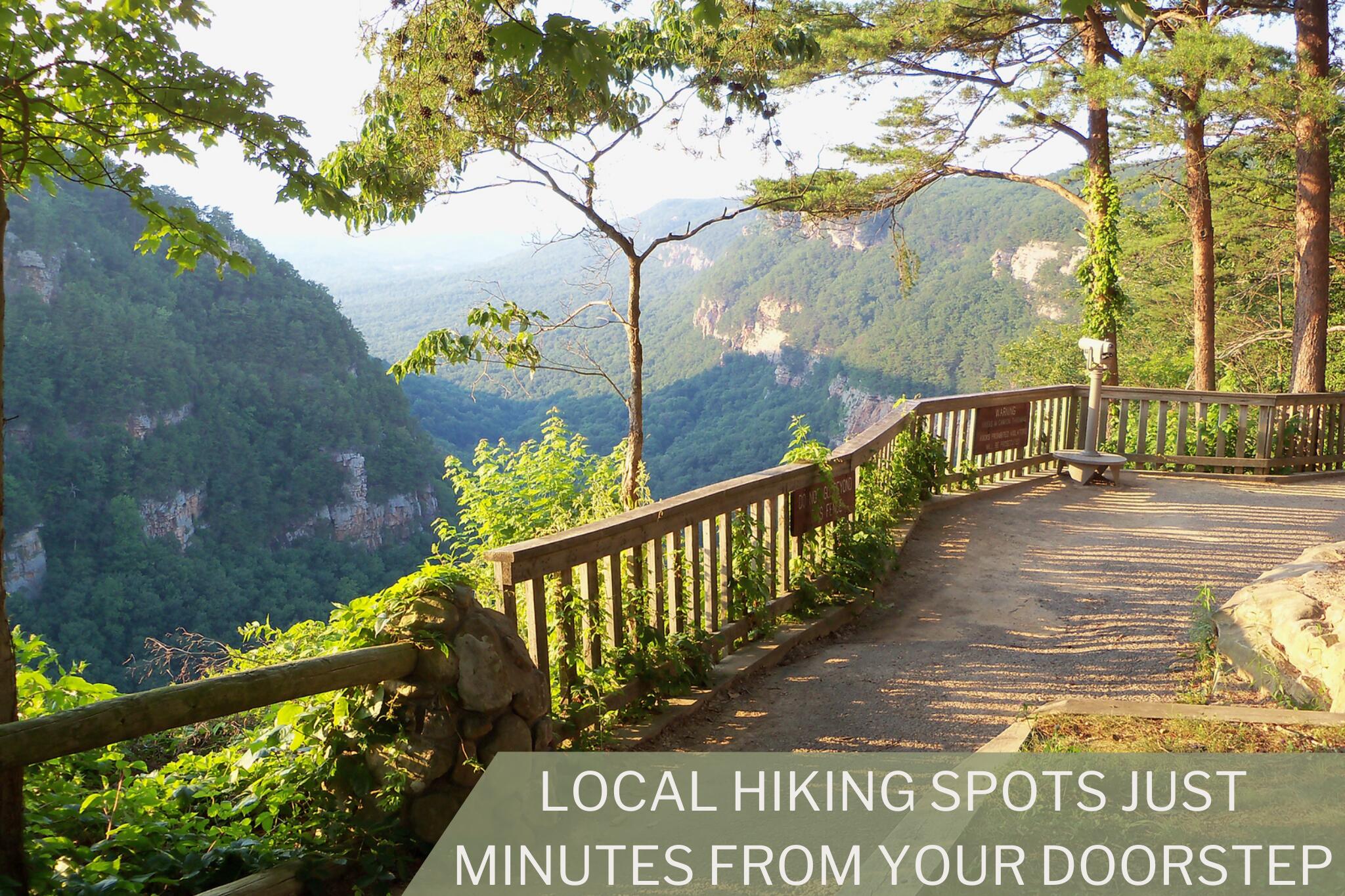 22 Carmack Road Flintstone, GA 30725 - Photo 39 of 40 39