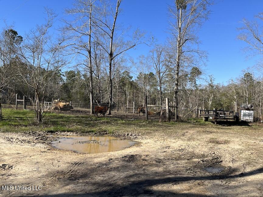 247 East McHenry Road Perkinston, MS 39573 - Photo 23 of 28 IMG_2975