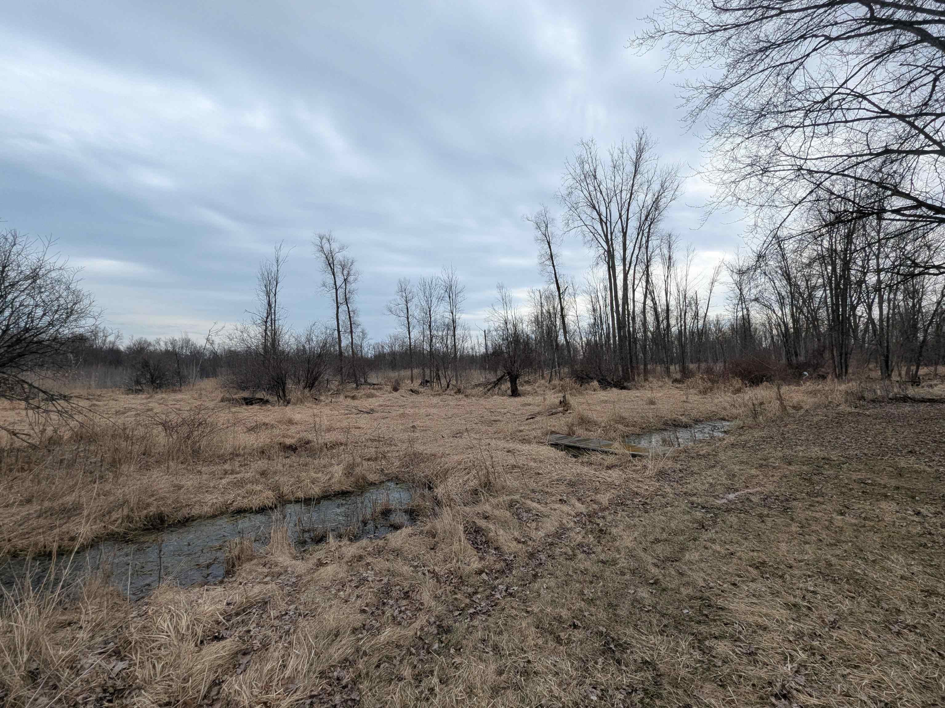 4438 Reynolds Road Turner, MI 48765 - Photo 39 of 40