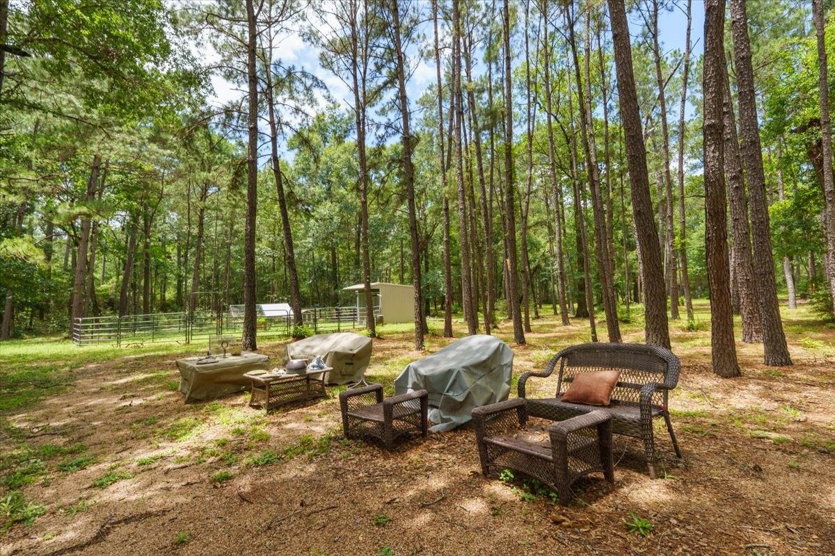 16375 Grand Flower Road Plantersville, TX 77363 - Photo 35 of 50 a view of a backyard with lawn chairs and large trees