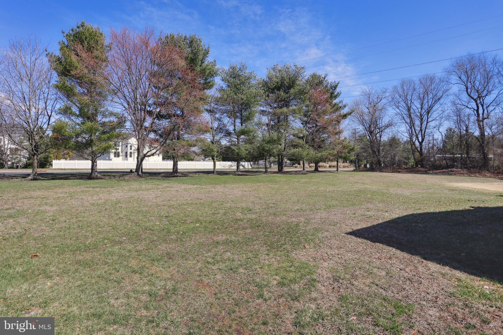 1122 Lemur Lane Mount Laurel, NJ 08054 - Photo 18 of 18 a view of a yard with a tree