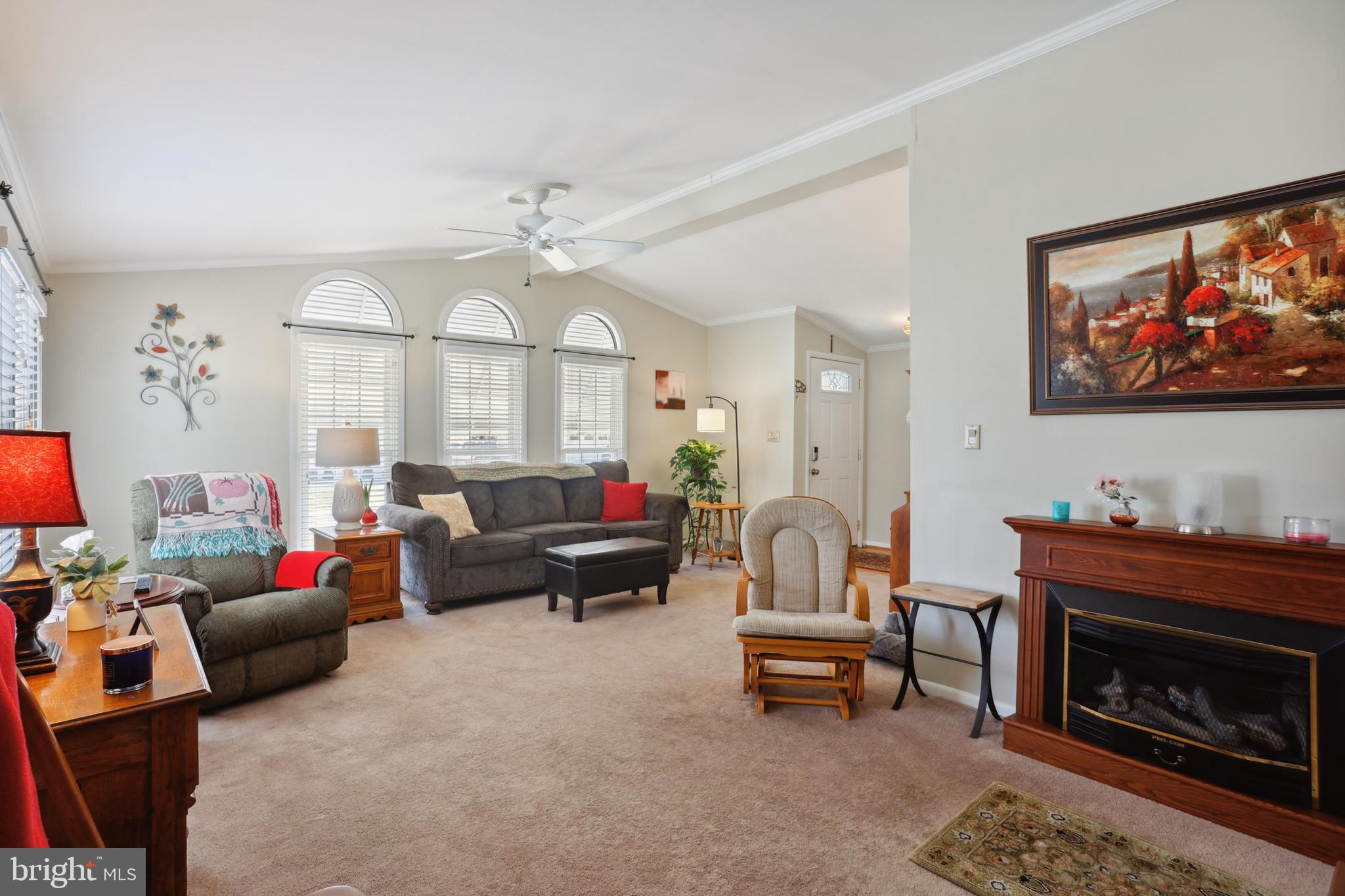 1122 Lemur Lane Mount Laurel, NJ 08054 - Photo 2 of 18 a living room with furniture a fireplace and a flat screen tv