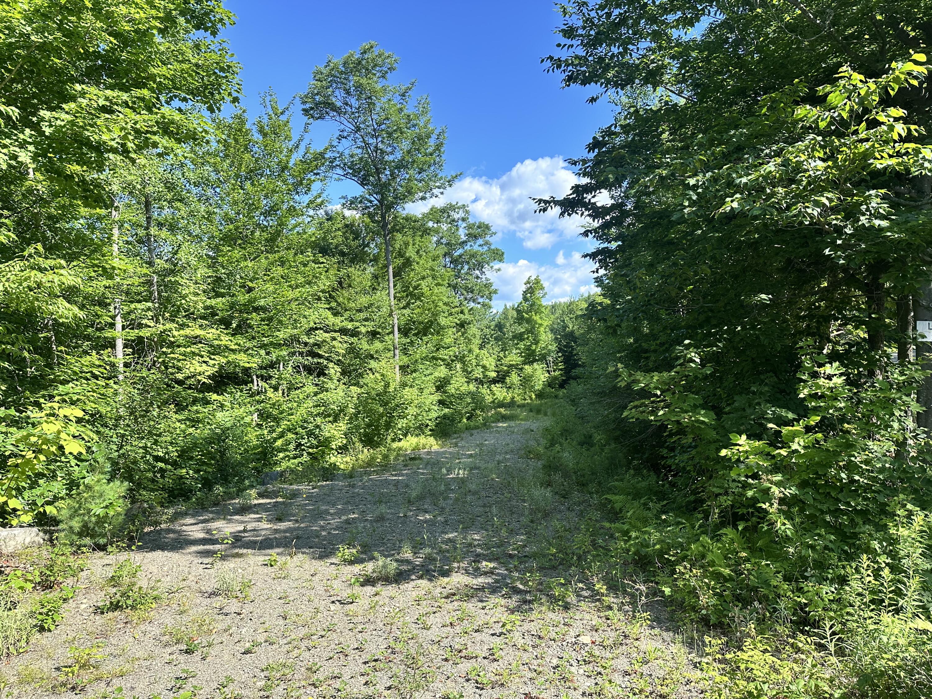 2 Lower Vose Road Kingfield, ME 04947 - Photo 18 of 40 IMG_4475