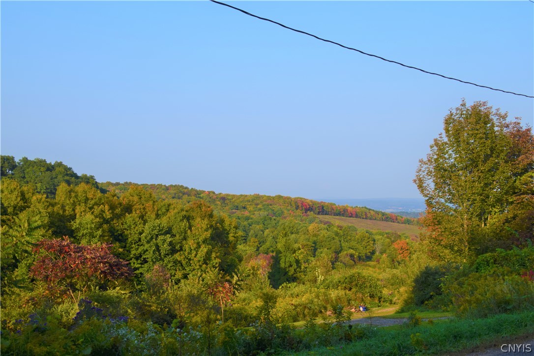 0 Johnnycake Road Mohawk, NY 13407 - Photo 1 of 1