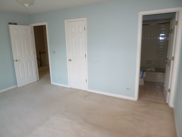 1217 West Bauer Road Naperville, IL 60563 - Photo 14 of 21