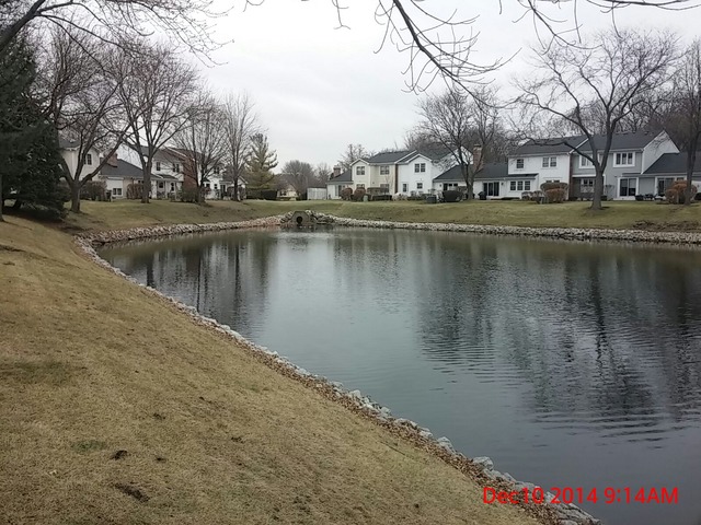 1217 West Bauer Road Naperville, IL 60563 - Photo 21 of 21