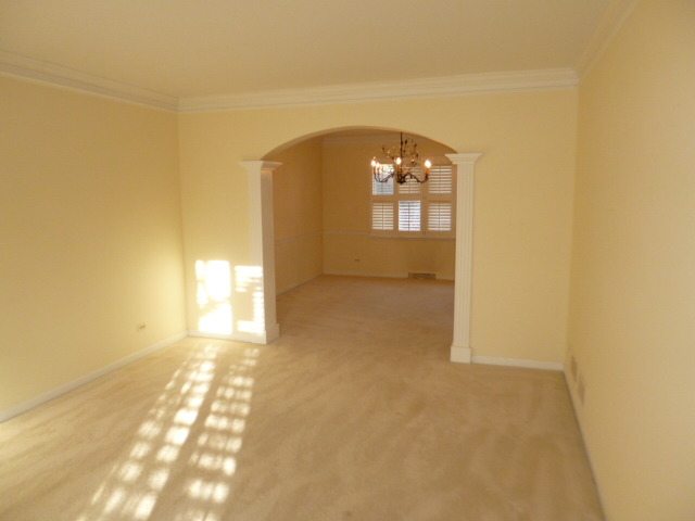 1217 West Bauer Road Naperville, IL 60563 - Photo 8 of 21