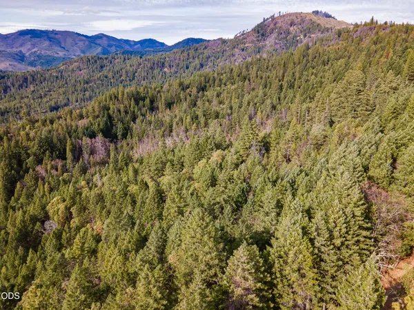 $456,000 | Pleasant Cr Road, Rogue River, OR 97537