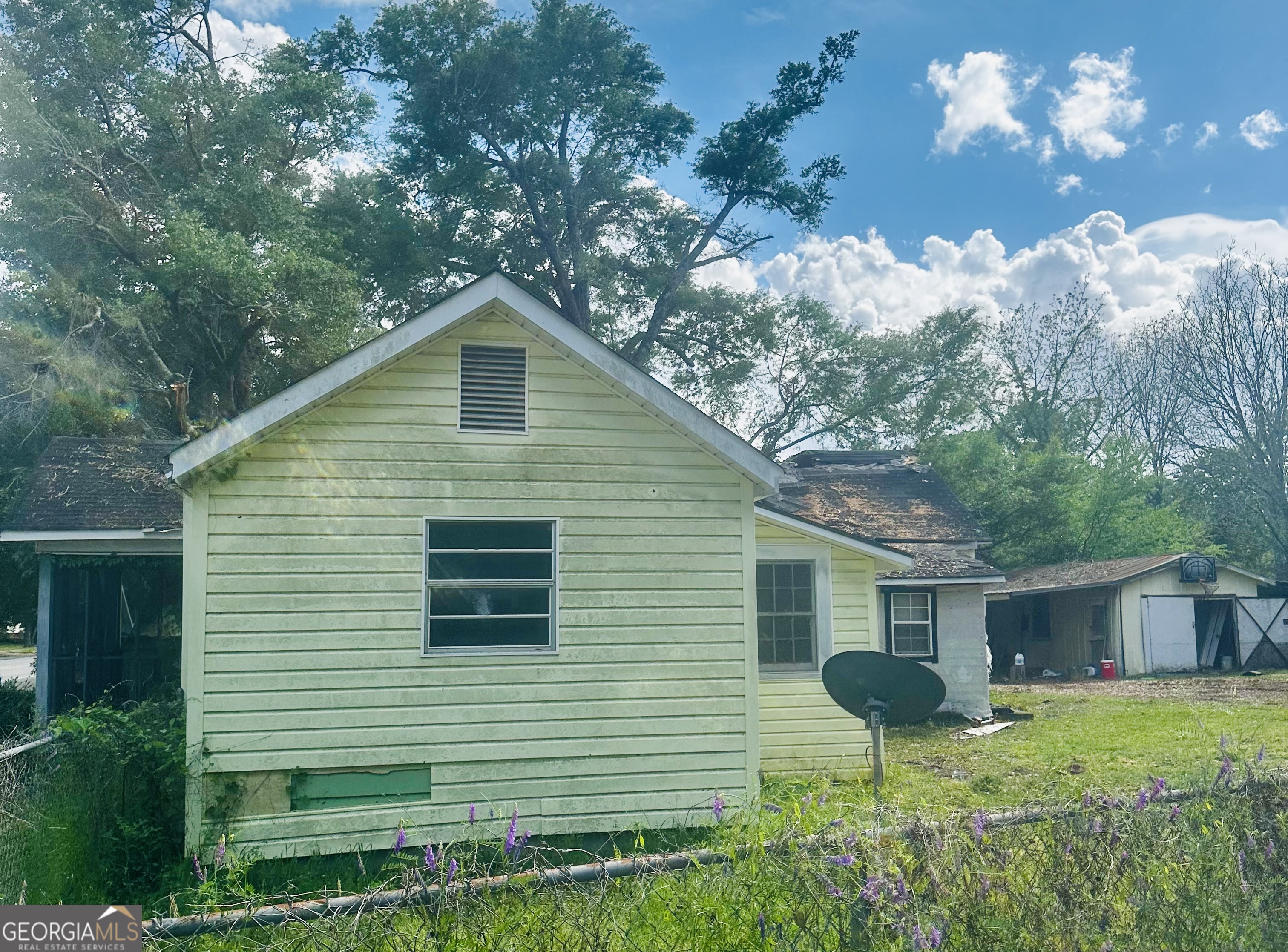 237 Bray Street Leary, GA 39862 - Photo 4 of 18 Gallery Image 4