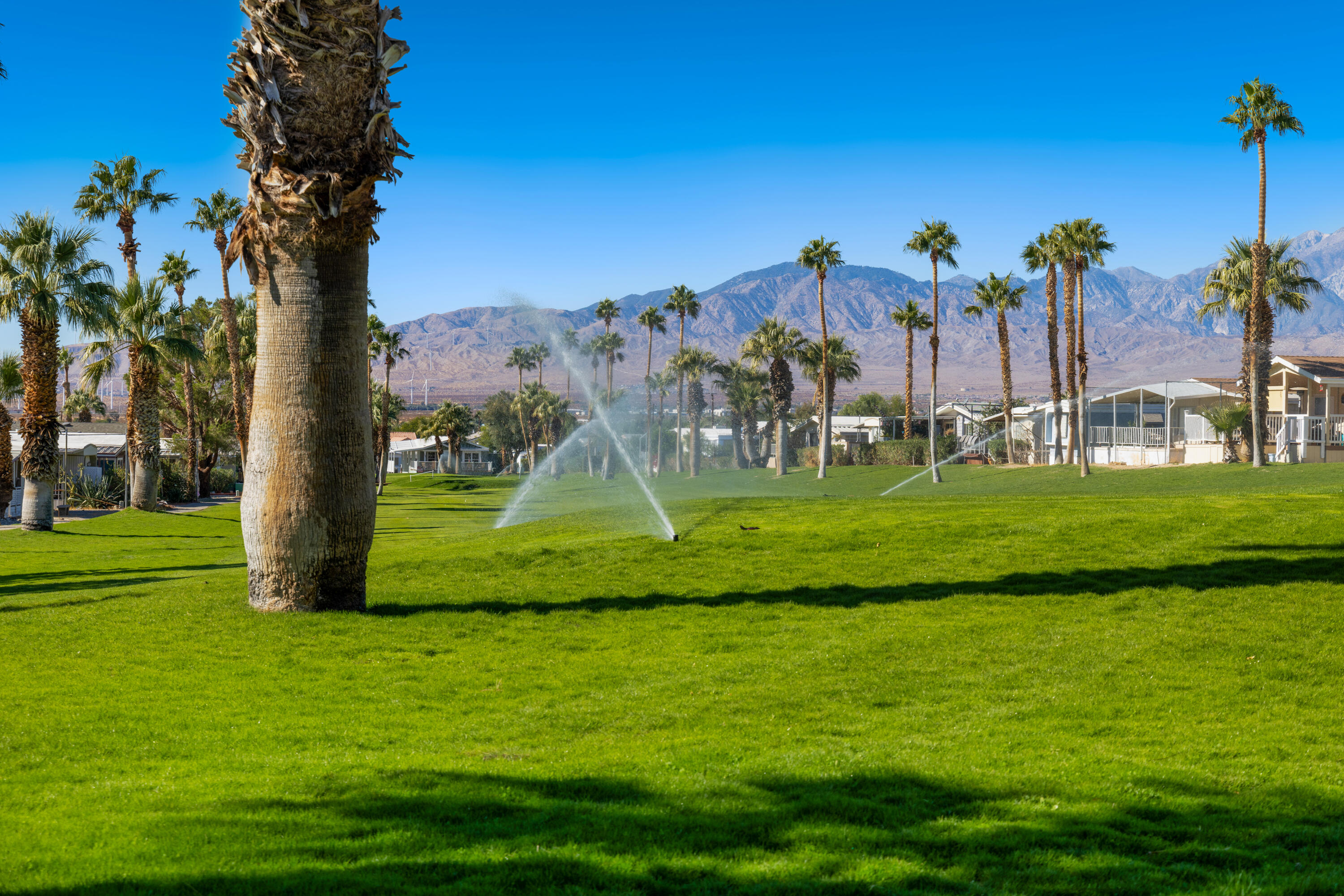 15500 Bubbling Wells Road, Unit 243 Desert Hot Springs, CA 92240 - Photo 29 of 39 a view of a park