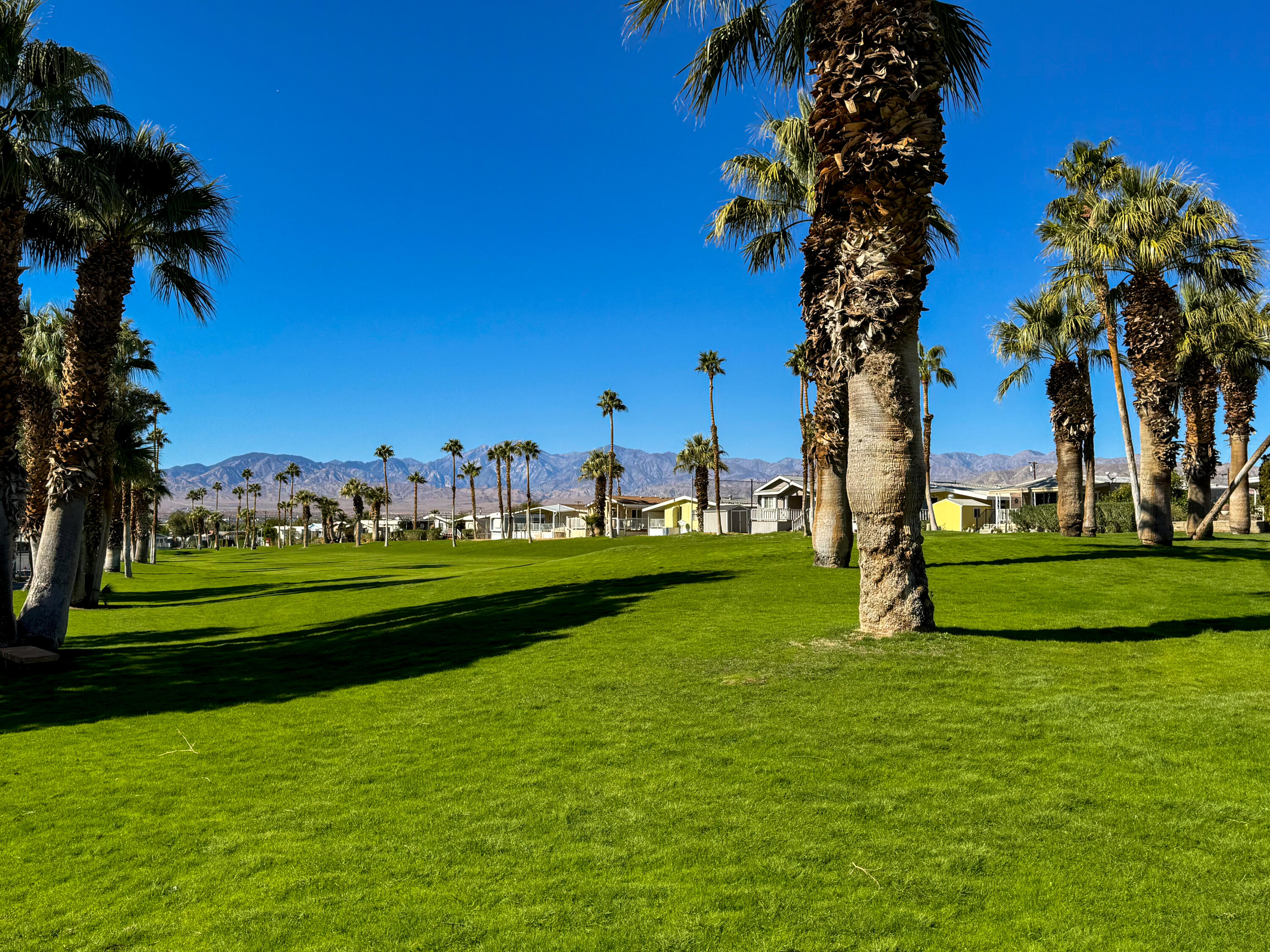15500 Bubbling Wells Road, Unit 243 Desert Hot Springs, CA 92240 - Photo 30 of 39 a view of a park with large trees
