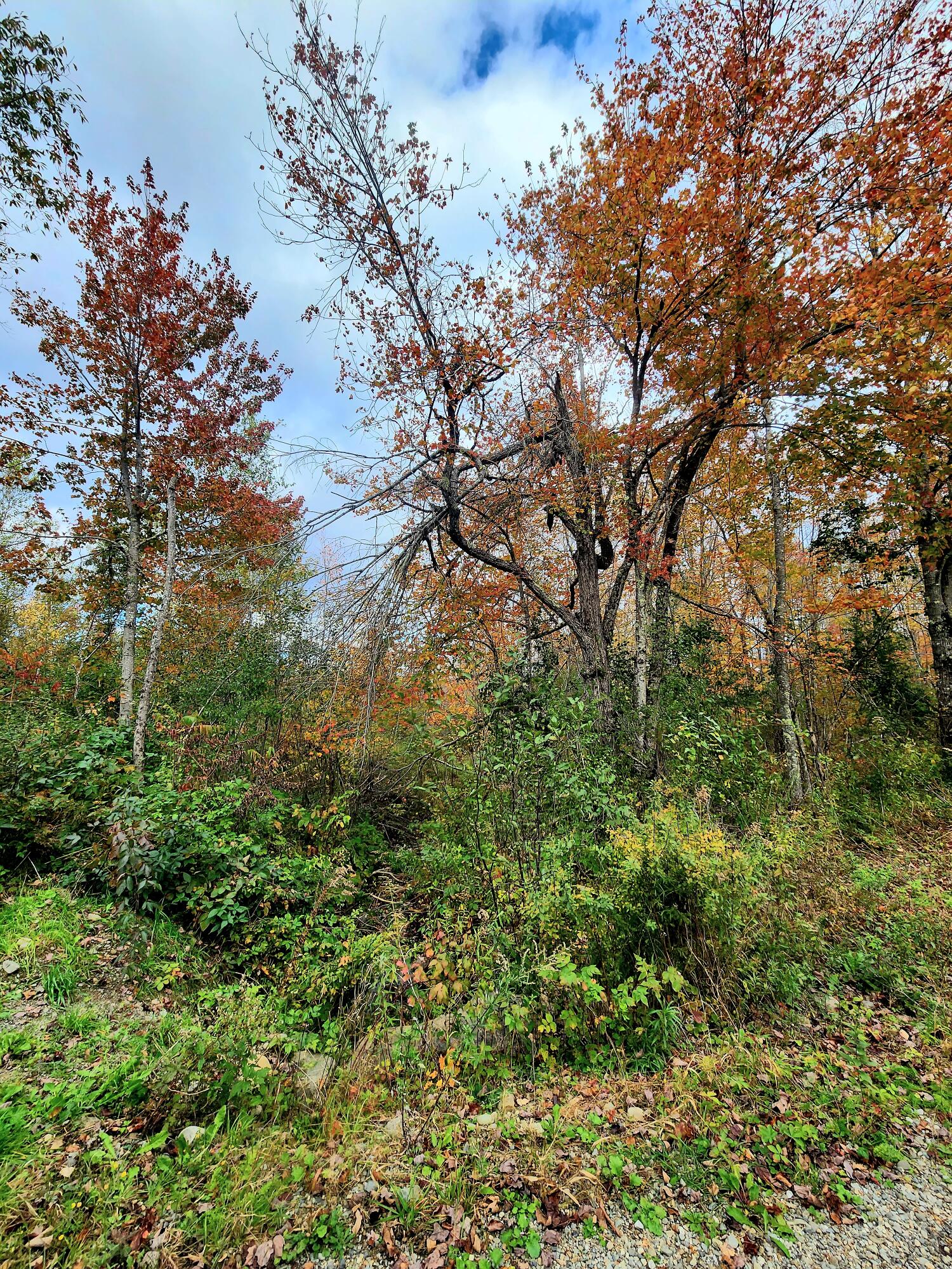 1397 Kennebec Road Hampden, ME 04444 - Photo 4 of 9 20231014_155339